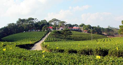 这是一条拯救南宁人春节聚会的微信