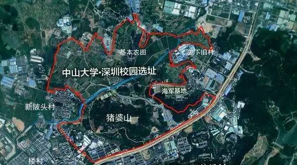 深圳厉害的大学,深圳厉害了