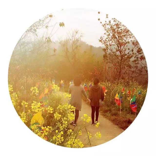 樱花诗词大会,樱花节诗词大会互动