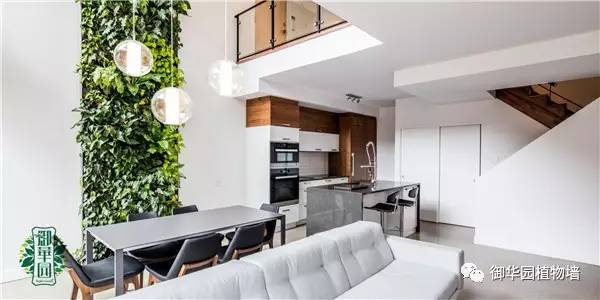 室内植物墙优缺点,摆放型植物墙设计步骤