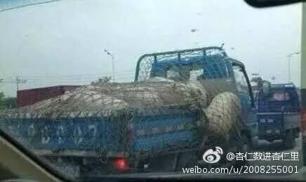 太搞笑了图片,搞笑照片看你们能憋几秒不笑