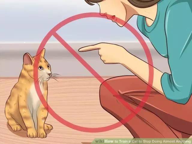 搬新家、换新厕，却被差评？“本喵憋屎抗议！”