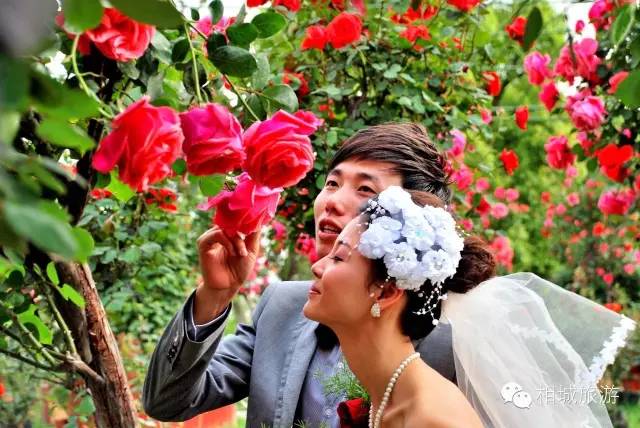 在春天赴一场樱花的约会,在春天去赴一场与花海的约会