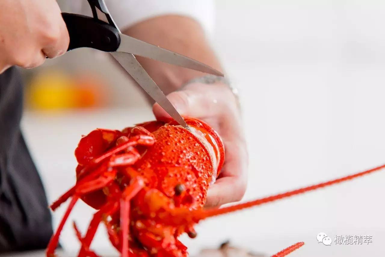 龙虾简单好吃的做法教程,龙虾料理做法