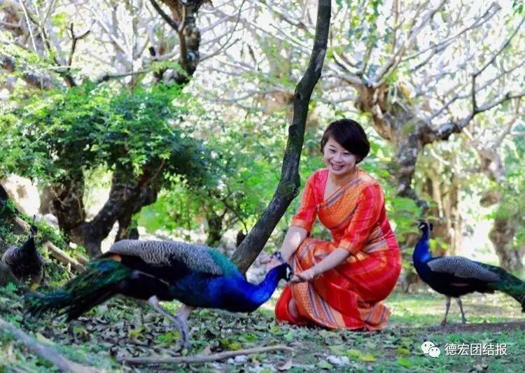 看完这些才知道，日本竟然没有德宏好