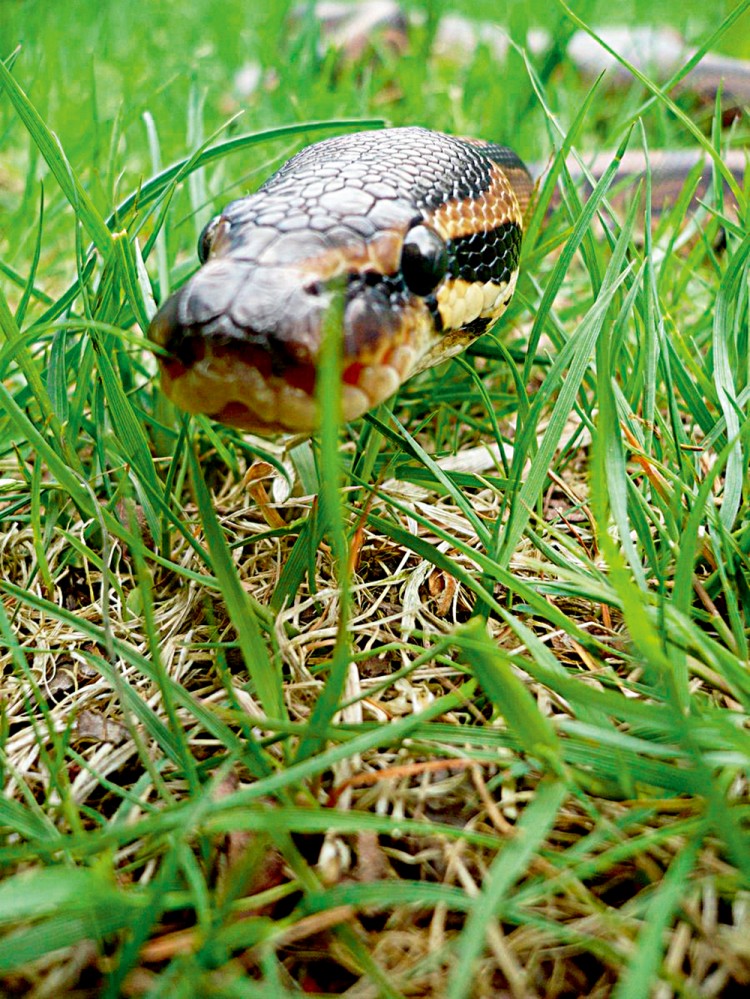 西双版纳从下飞机开始的攻略,进入西双版纳的视频