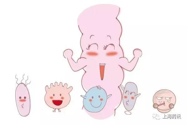 常用微生态制剂及使用注意事项