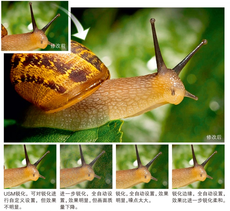 西双版纳3小时可以去哪,西双版纳五小时