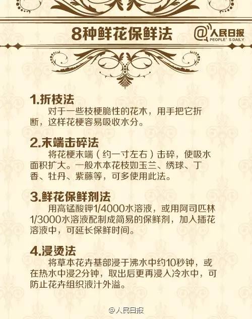 各种鲜花花语介绍大全简短,鲜花介绍花语大全简短一点