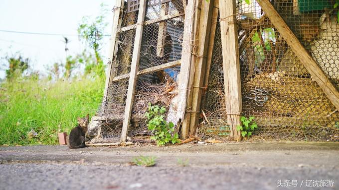 去台湾看自然风景,台湾小众景点