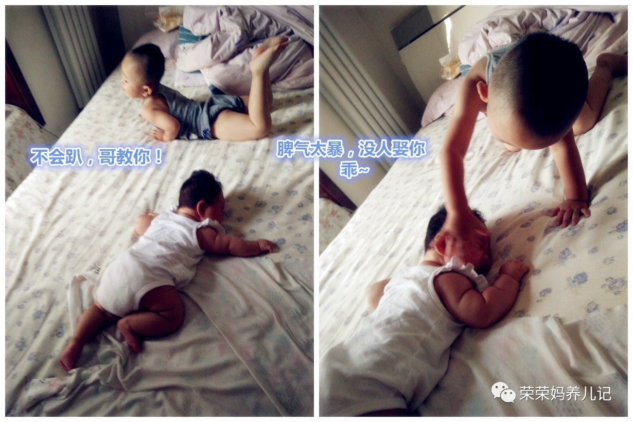 过年怎能不虐狗,逗比兄妹的年终总结