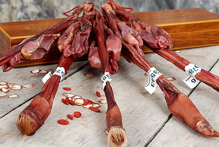 梅花鹿的鞭如何分真假,鲜梅花鹿的鞭如何分真假