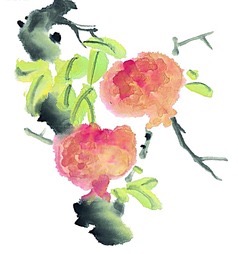 鲜石榴皮治腹泻的正确方法,新鲜的石榴皮治腹泻的正确方法