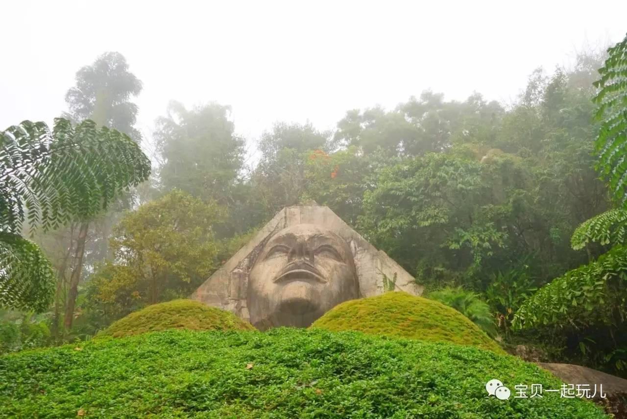 老娘的青春那么短，花点钱开心又何妨