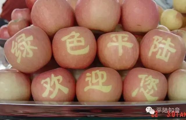 平陆我的故乡,让我魂牵梦萦的地方