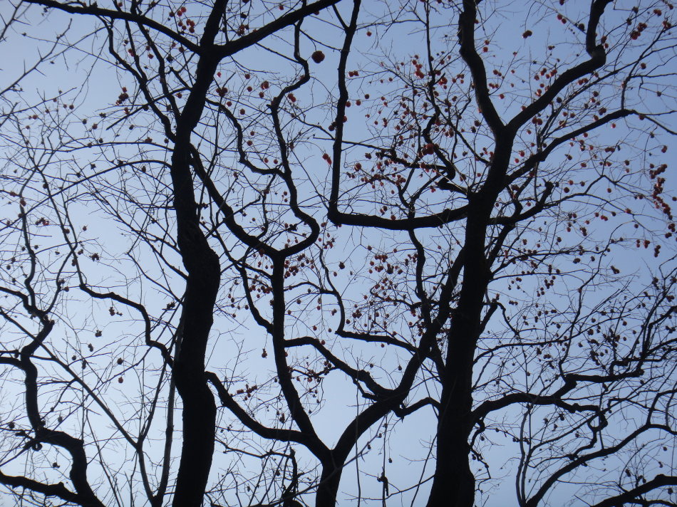 辉县盘上有哪些山,辉县盘上航拍