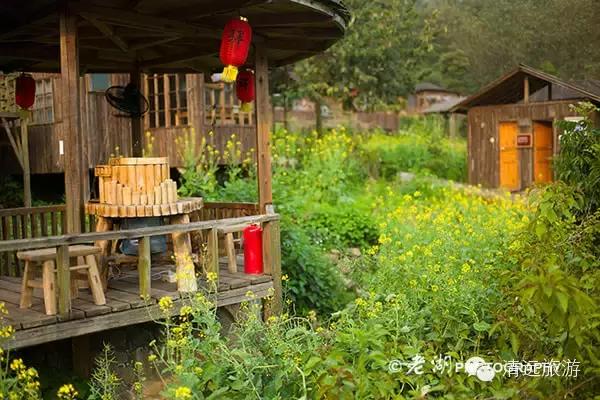惊！艳！清远这片森林惊现空中吊屋！来过你再也不想回家