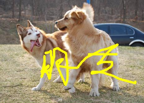 春节到了，没有住在原来的地方，我感觉我好像是个假的客家人