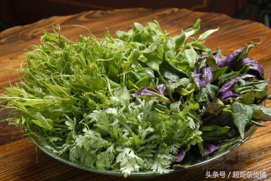 鹦鹉的养法注意事项,鹦鹉怎么养注意事项图解