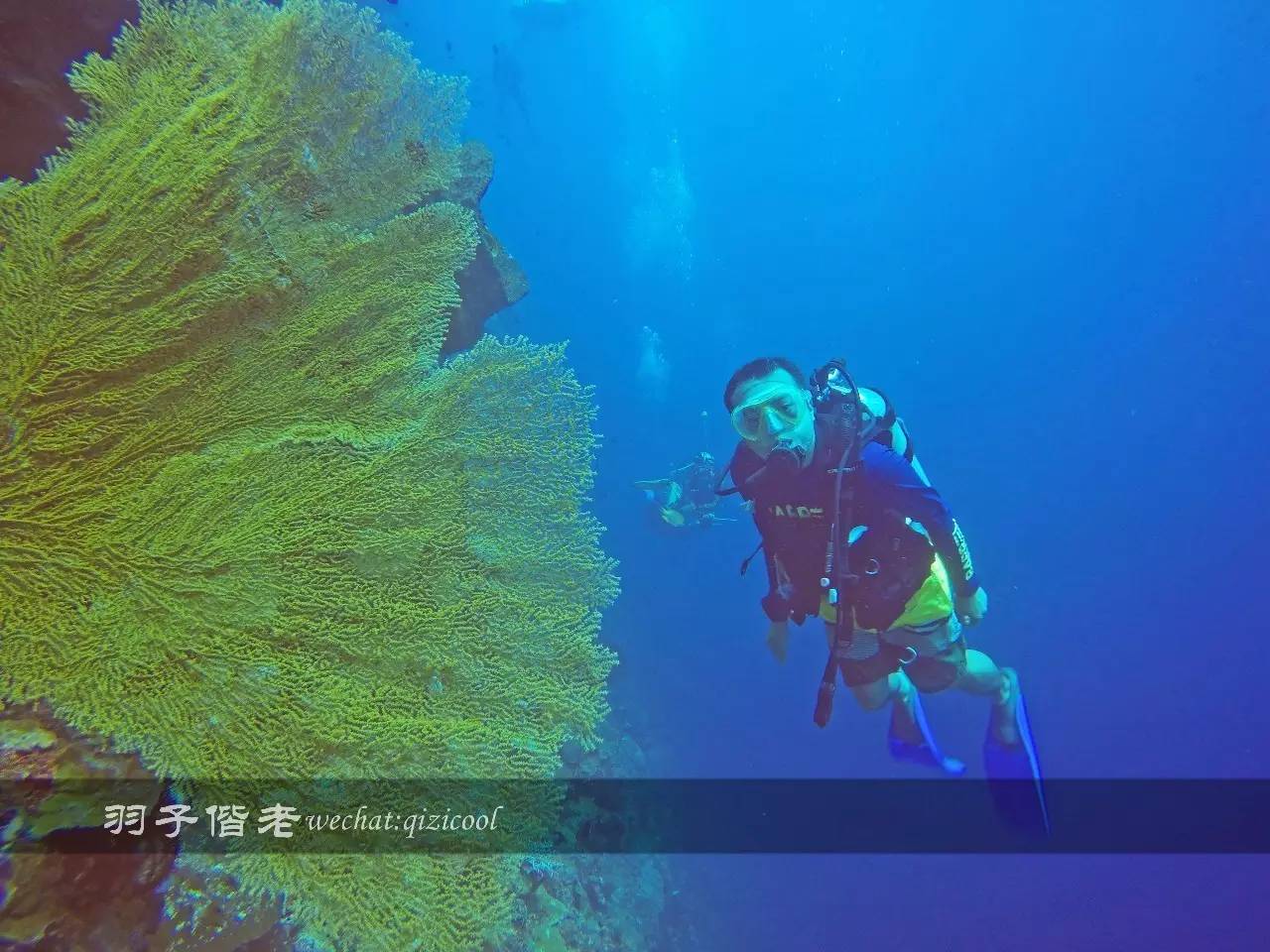 美娜多海岛一日游,印尼美娜多跟团游