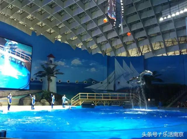 春节南京旅游景点免门票吗,南京春节期间免费景点要预约吗