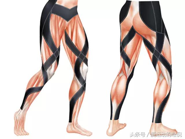 哪个牌子的运动紧身裤最好穿,运动裤小白裤