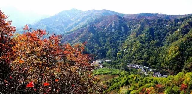 2022洛阳门票免费的景区,洛阳小浪底景区门票免费吗