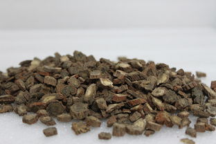 参有哪些种类各有啥不同,常见参的种类及图片