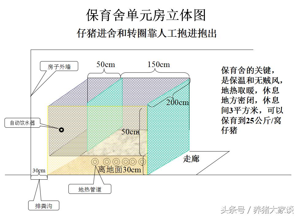 现代养猪的简易猪舍建造,自繁自养猪舍建设