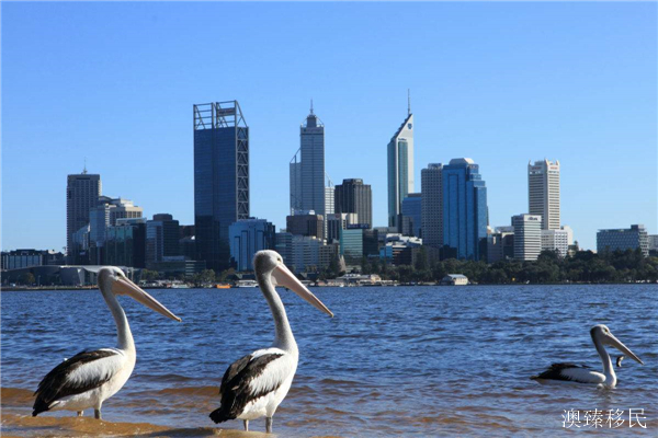 澳大利亚移民留学推荐学校,澳洲偏远地区留学有哪些学校
