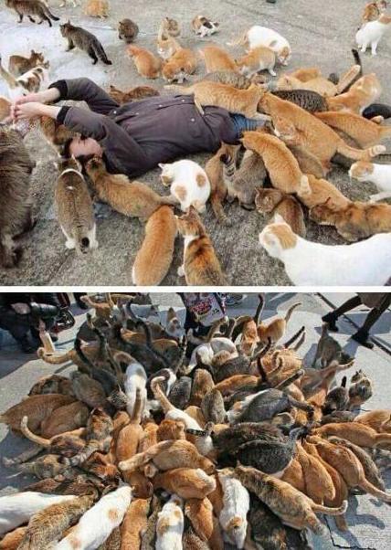 为什么不能轻易拉黑一个人,动不动就拉黑一个人意味着什么