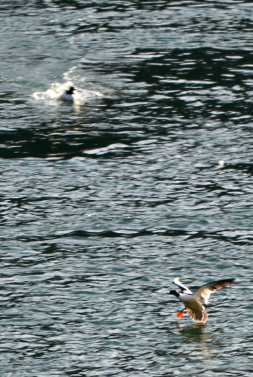 河道被挖开,被挖出来的河