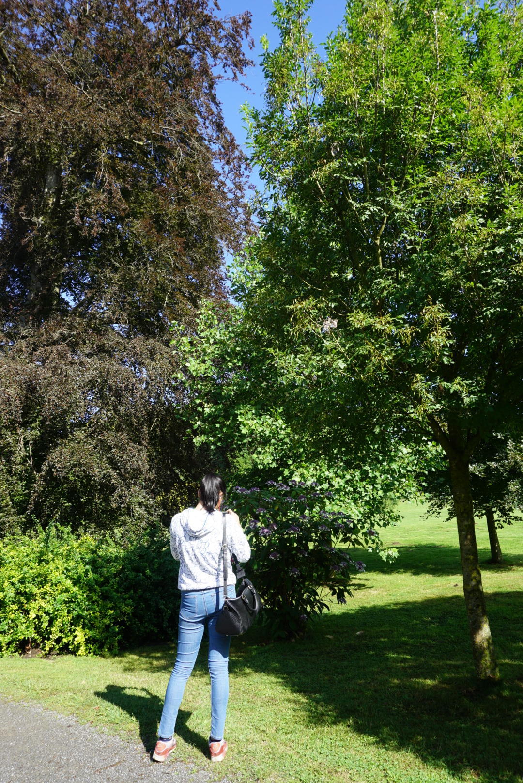 去德国旅游的游记,德国和奥地利游记攻略