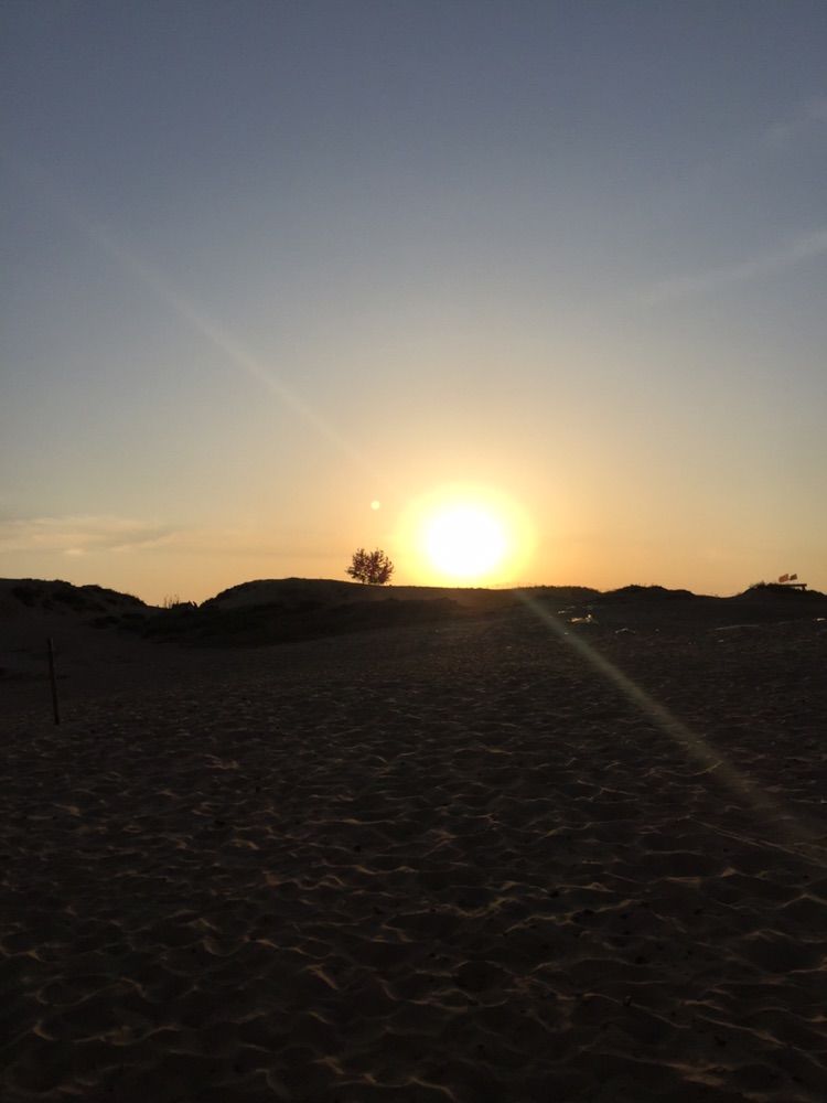 我爱远方风景,我爱远方和自由