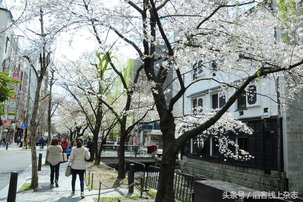 女孩想谈一场甜甜的恋爱,女孩子谈一场甜甜腻腻的恋爱