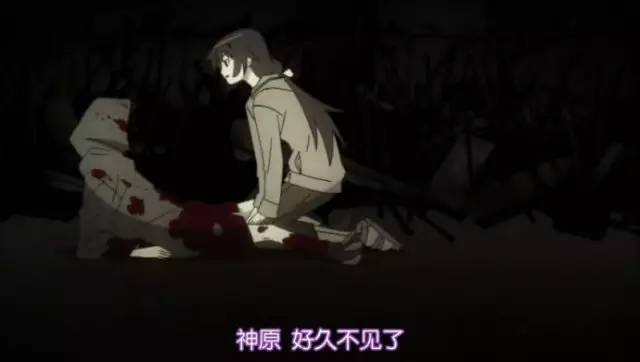 猴年说猴中猴的特点,猴年说猴