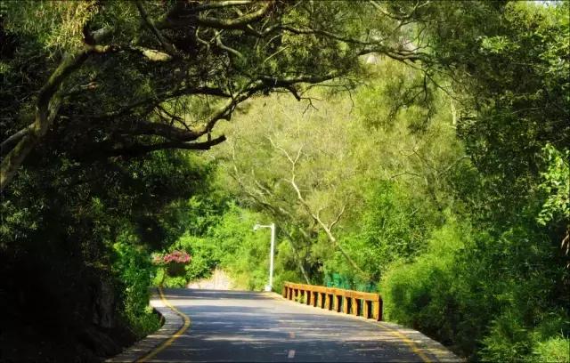 周末在厦门去哪玩最合适又不贵,周末厦门去哪里玩好