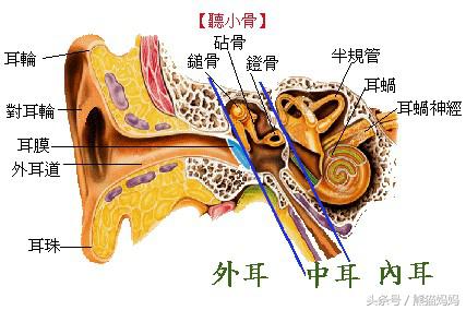 七个月宝宝耳朵耳屎怎么处理,7个月宝宝耳屎好臭怎么回事