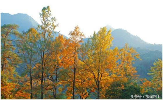 平远客家相思谷图片,平远上举相思谷风景区门票