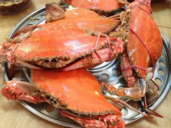 秦皇岛海鲜吃到爽,秦皇岛海港区吃海鲜靠谱便宜