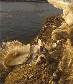 维护费最便宜的车,日常维护费最低的车