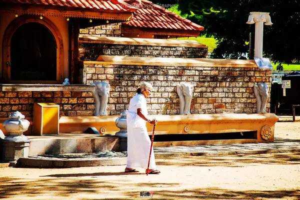 斯里兰卡十天自由行攻略,遇见斯里兰卡