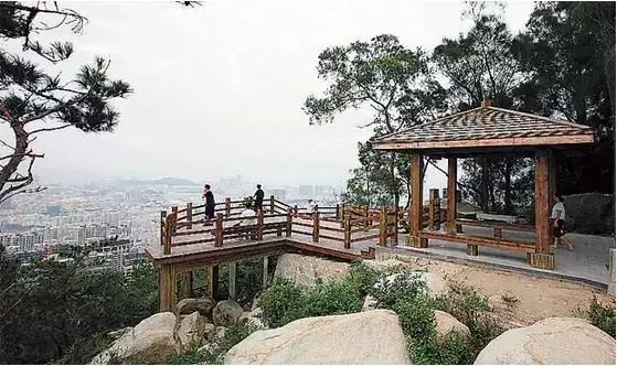 厦门岛内小孩周末去哪里溜达,厦门岛内两天游攻略