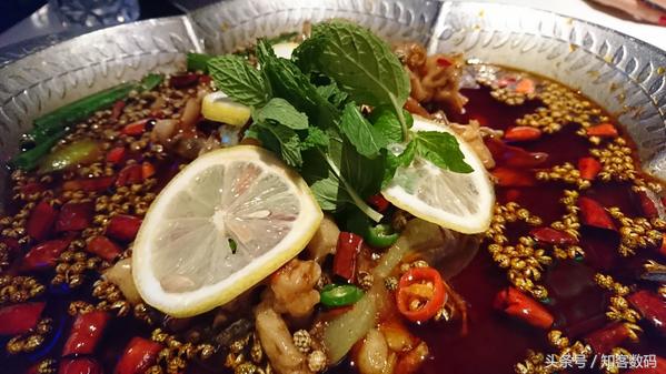 索尼xperiaxz评测,索尼xperia10iii