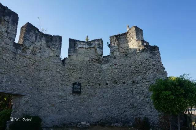 除了鲸鱼海豚还有哪些哺乳动物,除了鲸鲨还有什么鱼比较大