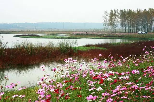 南京六合旅游景区有哪些,南京六合旅游好去处