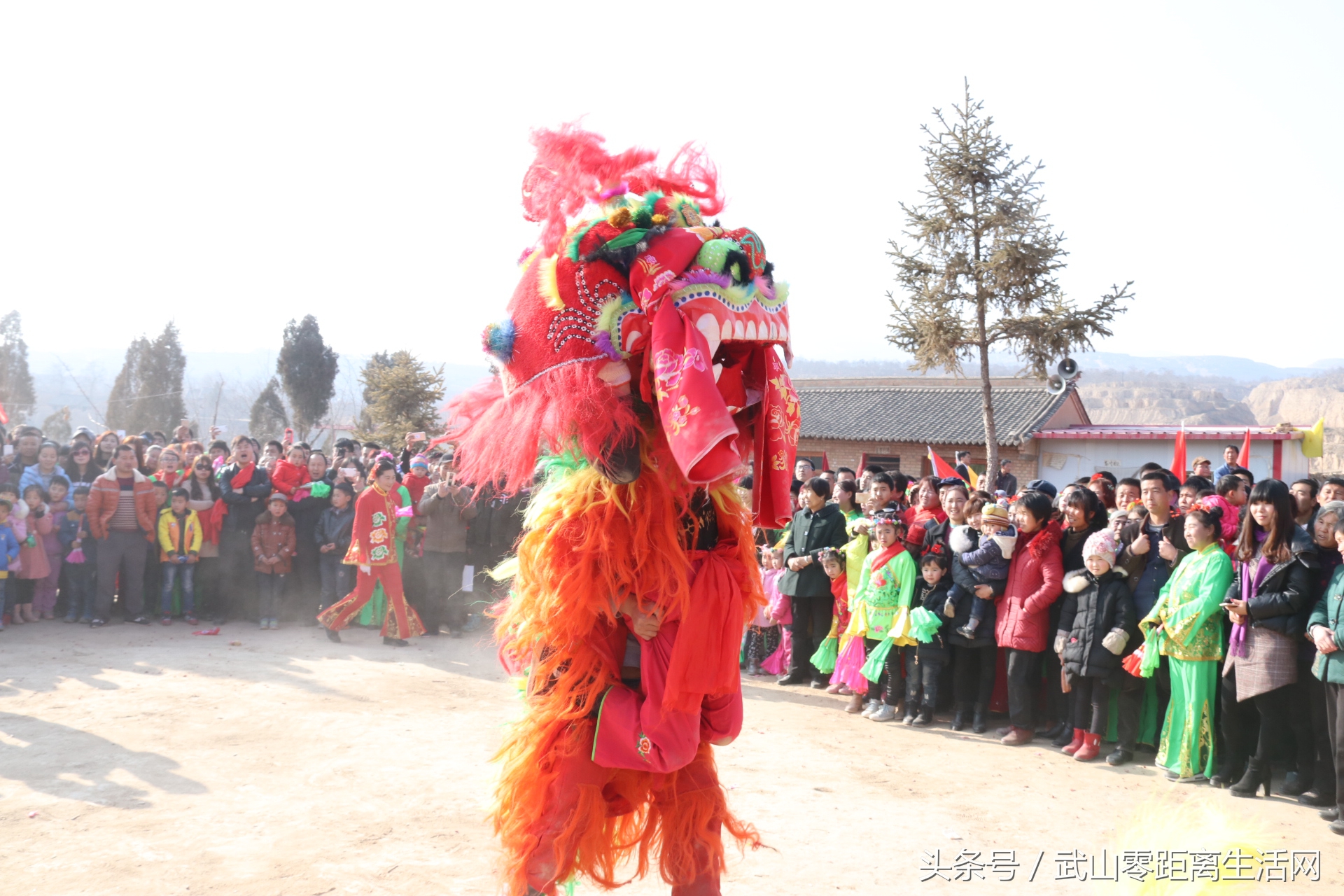 武山秧歌航拍,武山秧歌耍马