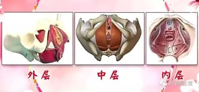 尿*禁失**-守护女性的健康“底盘”