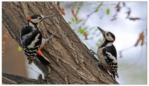 你只是一个人，因为你不会这些“撩妹”神技能