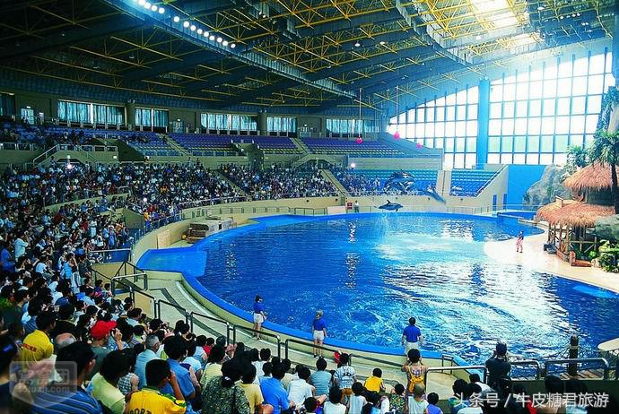 北京工体富国海底世界周边玩乐,北京富国海底世界游览全过程